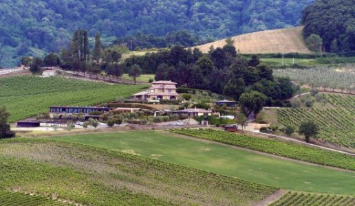 altarocca wine resort cantina vini umbria panorama albaco