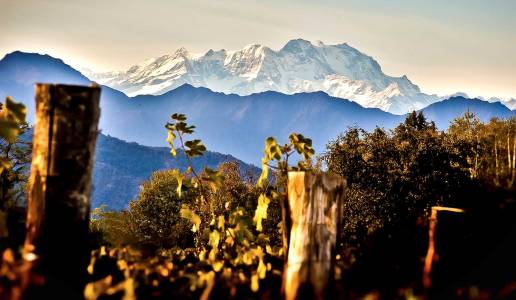 alto piemonte ghemme panorama torraccia del piantavigna