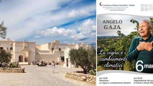 Angelo Gaja e il cambiamento climatico