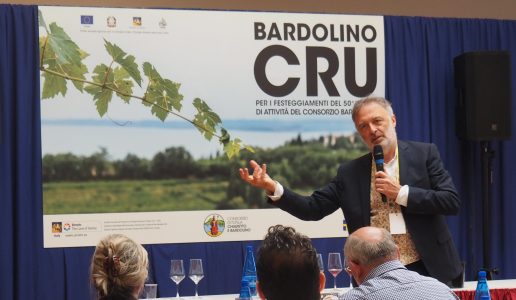angelo peretti bardolino cru