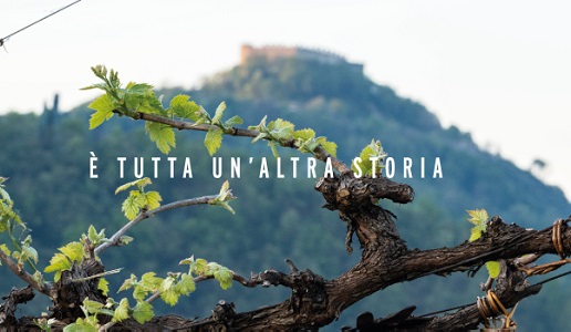 Asolo, la rocca - Prosecco Superiore Docg