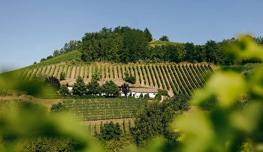 Avezza Territorio