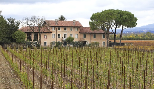 Borgo Conventi azienda