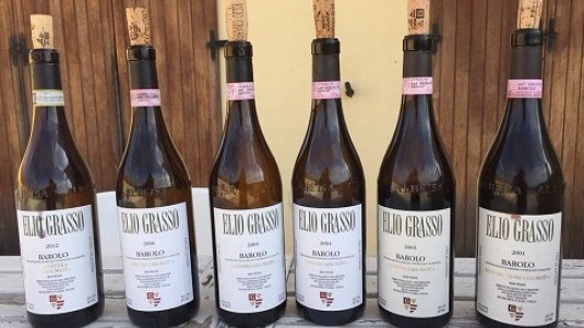 Barolo Grasso, la Ginestra nel cerchio quadrato (2)