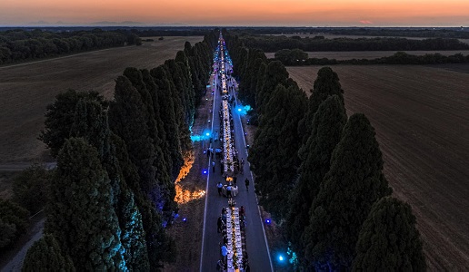 Bolgheri DiVino cena sul viale dei cipressi tramonto
