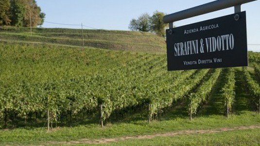 Bollicine di Prosecco Extra Dry di Serafini & Vidotto