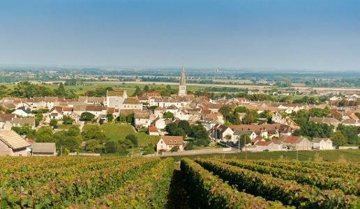 Borgogna Meursault
