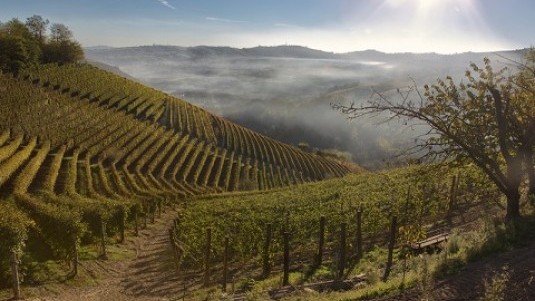 C’è Nebbiolo e Nebbiolo