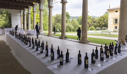 crus et domains de france - credits Andrea Liverani