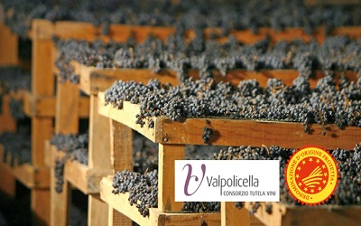 CS Consorzio Valpolicella Anteprima Amarone 2022