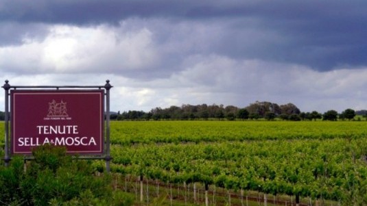 Campari vende Sella & Mosca e Teruzzi&Puthod