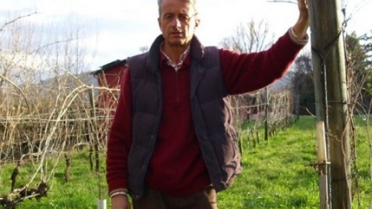 Canaiolo