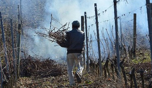 Messer Oto, Aglianico del Vulture da bere a secchi.
