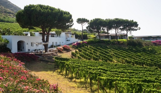 Capofaro Locanda & Malvasia, anfiteatro di vigneti