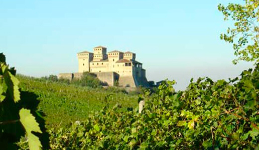 Torcularia, the Lambrusco by Carra di Casatico