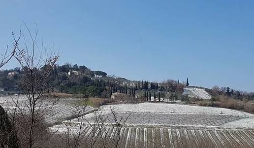 casa alle vacche vernaccia di san gimignano vino bianco toscana cantina panorama