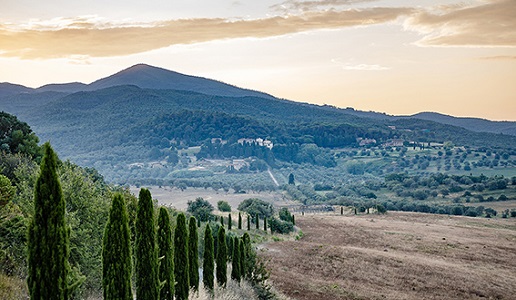 Castello del Terriccio panorama