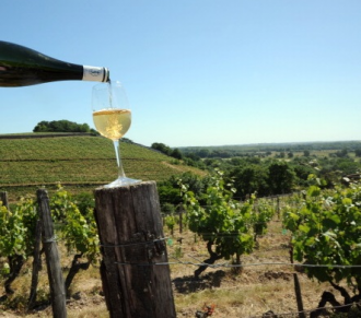 Chardonnay per tutte le stagioni: le damigelle (Borgogna #1)