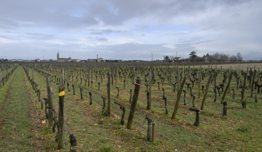 chateau petit village pomerol vino rosso bordeax francia cantina vini vigneti panorama