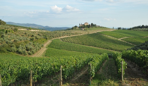 Paesaggio del Chianti Classico