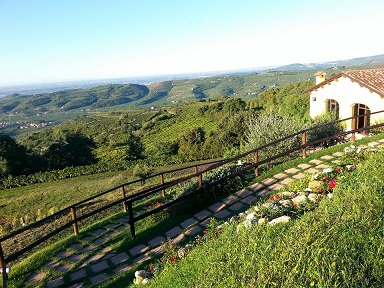 Coffele. Fragrante e Soave
