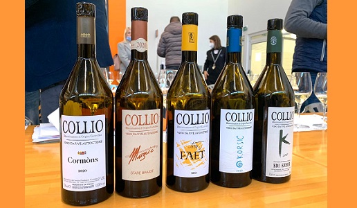 Collio Doc varietà autoctone