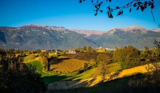Cominium azienda vinicola vigneti Val Comino Lazio