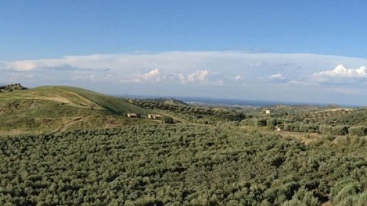 Complessità calabrese