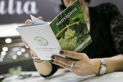 Concours Mondial de Sauvignon 2016, i premiati italiani