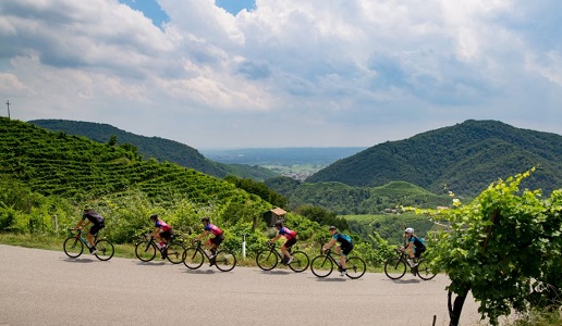 Conegliano-Valdobbiadene-experience, bike-tour