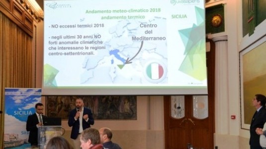 Convegno Assovini Sicilia en Primeur 2019: presentazione vendemmia 2018