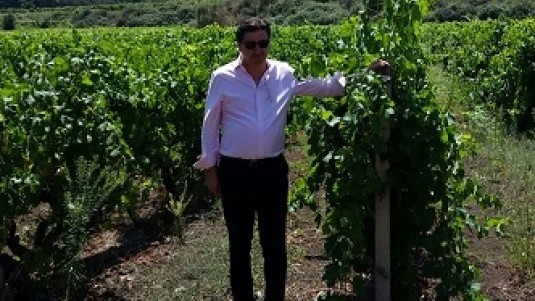 Da Barolo all'Etna: Davide Rosso acquista 14 ettari sul vulcano