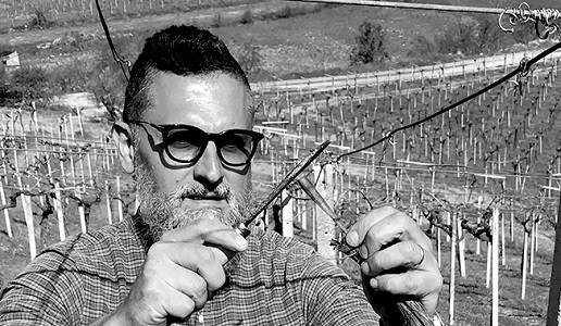 Danilo Marcucci Vini Contestabile della Staffa Cantina Umbria