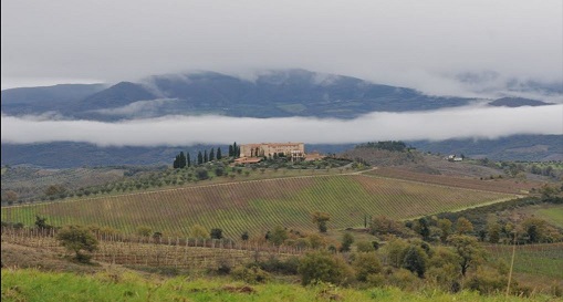Due vermentino dalla Maremma