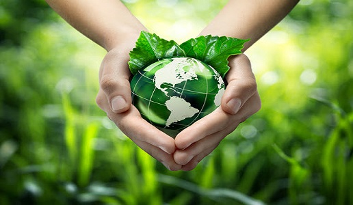 Economia circolare nel food