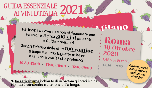 Presentazione Roma Guida Essenziale ai Vini d'Italia 2021 DoctorWIne