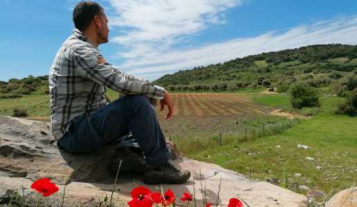 Enrico Menicalli Tenute Pedra Niedda