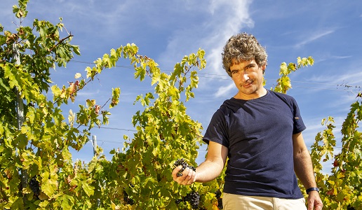 Enrico Cerulli Spinozzi Montepulciano