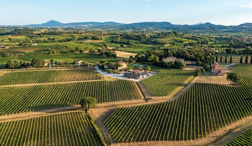 Fattoria Svetoni panorama vigneti