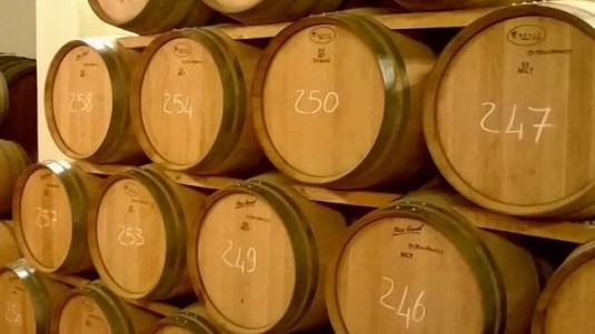 Cantina Fazio, proiettata nel futuro