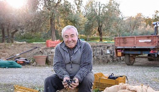Gioberto Zannoni, La Fortuna, Montalcino