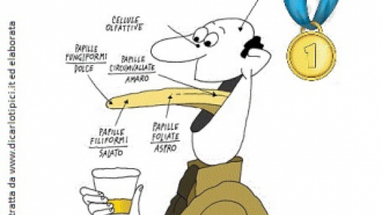 Gusto e conoscenza