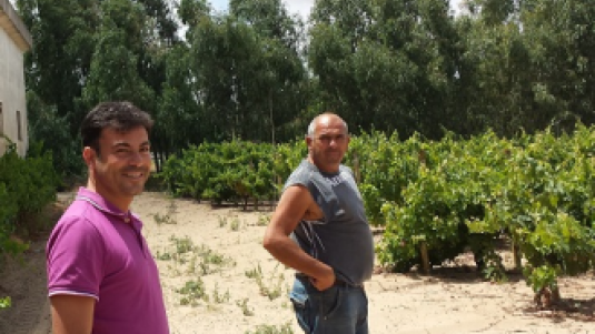 I bianchi che non ti aspetti, Cantina di Mogoro Il Nuraghe