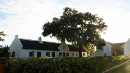 I vigneti di Mr. Rupert (5): Rupert & Rothschild Vignerons
