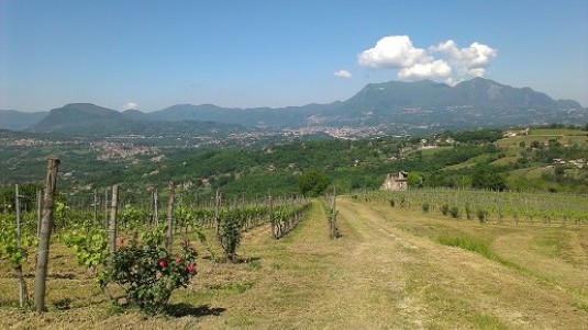 Radici e tradizioni (2)