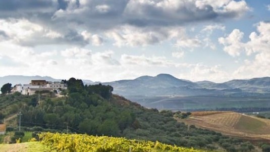 Il Grillo del Marchese