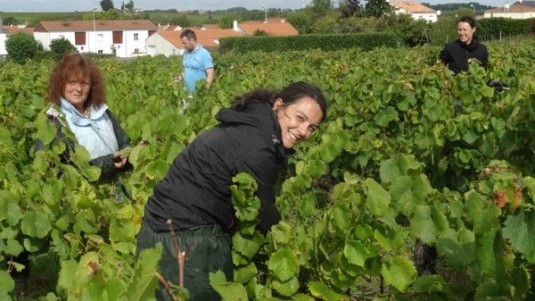 Il Muscadet di Christelle