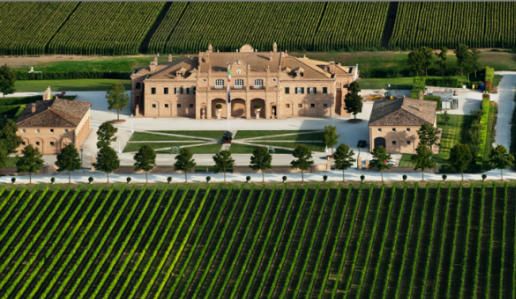 il pollenza cantina vini marche angera 2016 colli maceratesi ribona doc vino bianco