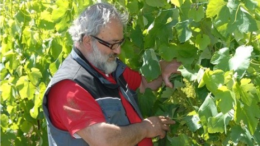 Il brigante contadino