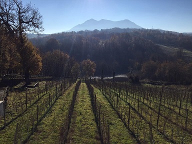 Il fiano di sabbia e argilla